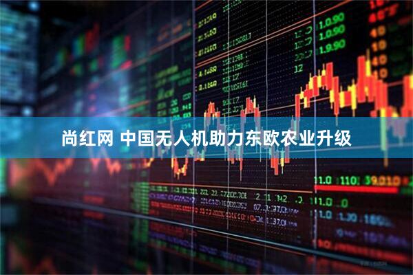 尚红网 中国无人机助力东欧农业升级