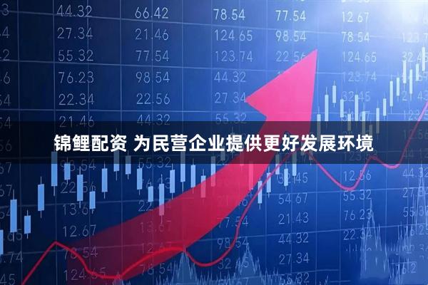 锦鲤配资 为民营企业提供更好发展环境