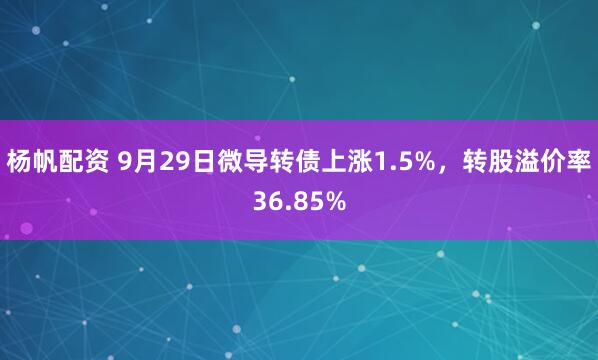 杨帆配资 9月29日微导转债上涨1.5%，转股溢价率36.85%
