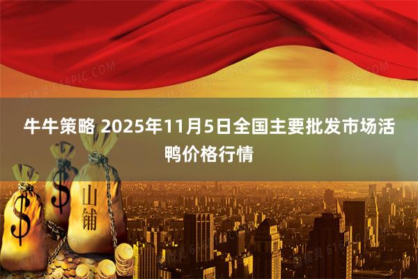 牛牛策略 2025年11月5日全国主要批发市场活鸭价格行情