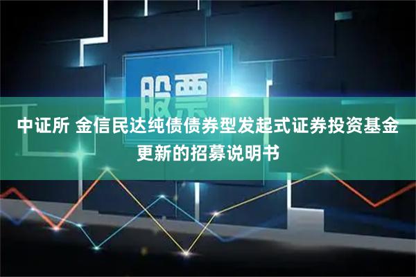 中证所 金信民达纯债债券型发起式证券投资基金更新的招募说明书