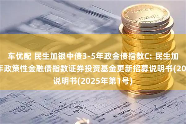 车优配 民生加银中债3-5年政金债指数C: 民生加银中债3-5年政策性金融债指数证券投资基金更新招募说明书(2025年第1号)