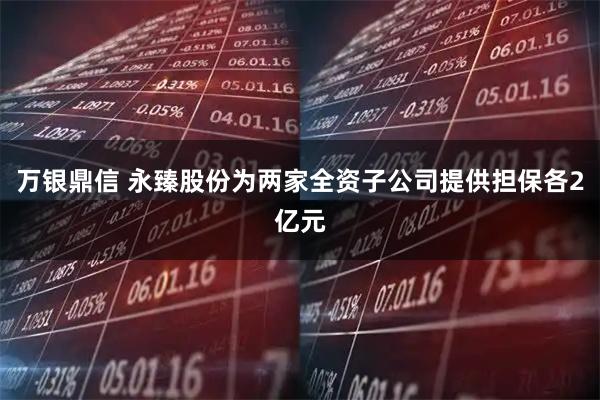 万银鼎信 永臻股份为两家全资子公司提供担保各2亿元